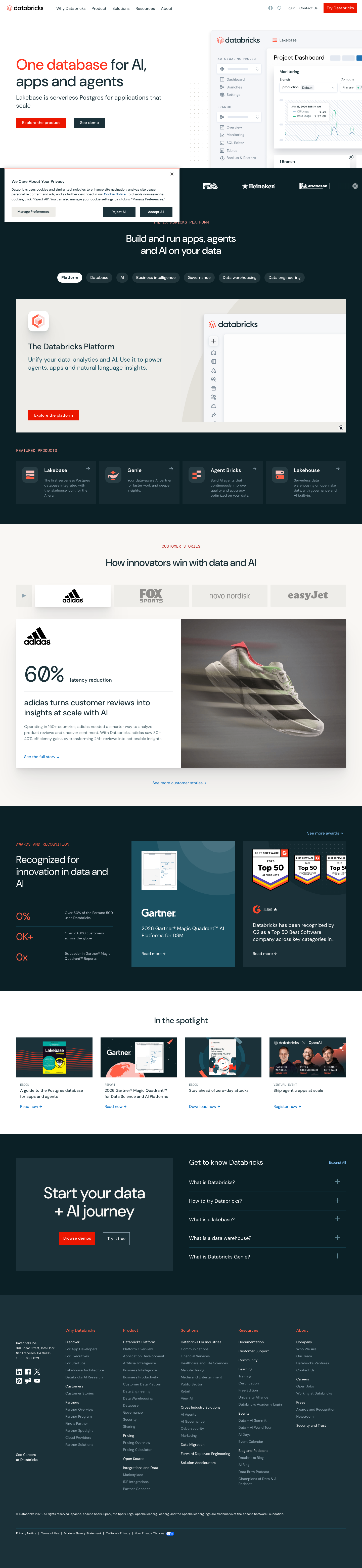 Databricks homepage screenshot, full resolution
