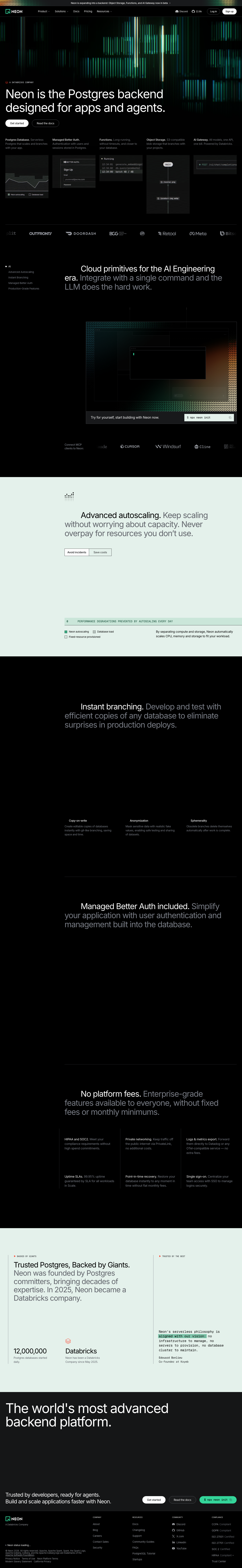Neon homepage screenshot, full resolution